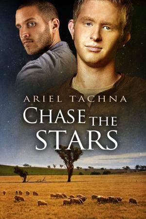 Cover of the book Chase the Stars by E E Montgomery