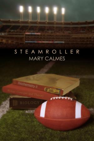 Cover of the book Steamroller by Eric Arvin