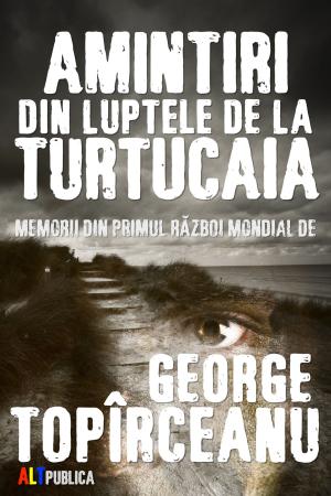 bigCover of the book Amintiri din luptele de la Turtucaia by 