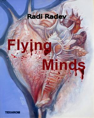 Cover of the book Flying Minds by Devon Ashley