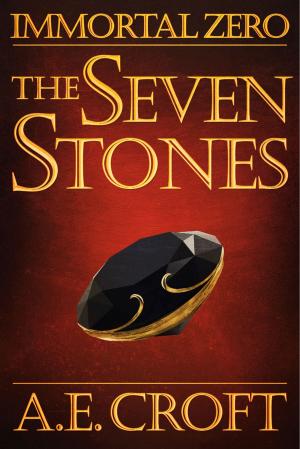 bigCover of the book The Seven Stones by 