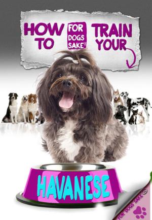 Book cover of How to Train Your Havanese