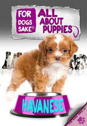 Cover of the book All About Havanese Puppies by Jenny Milbrook