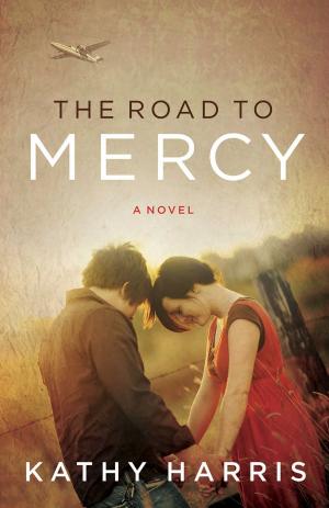 Cover of the book The Road to Mercy by Cynthia Ruchti
