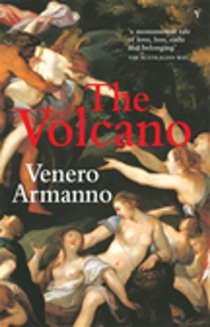 Cover of the book The Volcano by Su Tong