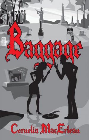 Cover of the book Baggage by Brian V Taylor