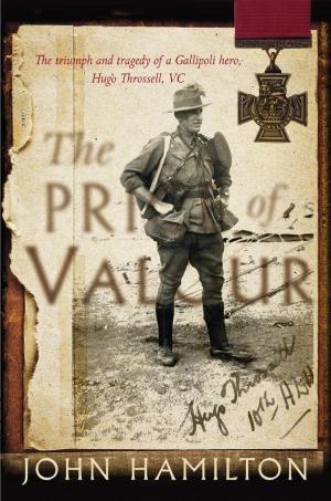 Cover of the book The Price of Valour by Paula Gosling
