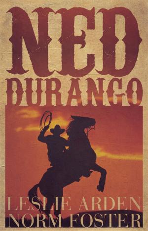 Cover of the book Ned Durango by Jason Sherman