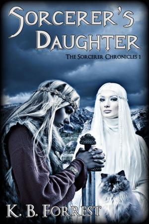 Cover of the book Sorcerer's Daughter by D.J. Manly