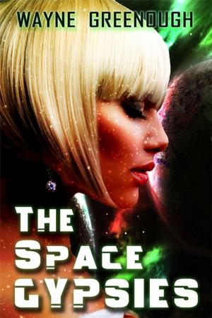 bigCover of the book The Space Gypies by 
