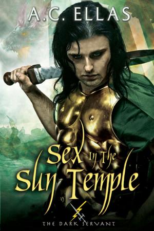 Cover of the book Sex in the Sun Temple by Adriana Kraft