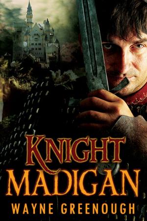 Cover of the book Knight Madigan by A.J. Llewellyn
