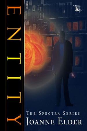 Cover of the book Entity by David Cudlip