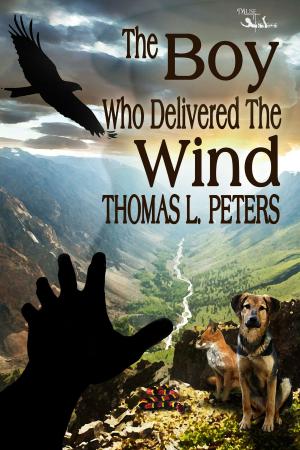 Cover of the book The Boy Who Delivered the Wind by Alissa T. Hunter