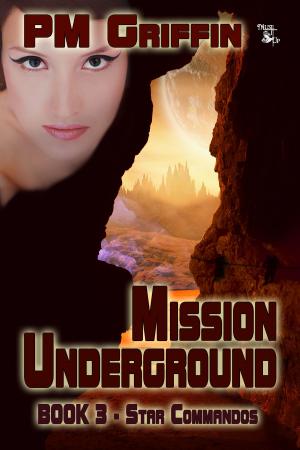 Cover of the book Mission Underground by Meriam Wilhelm