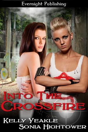 Cover of the book Into the Crossfire by Megan Morgan