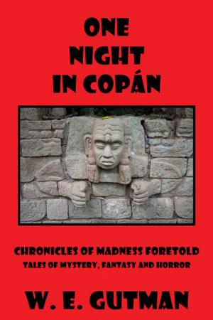 bigCover of the book One Night in Copan: Chronicles of Madness Foretold, Tales of Mystery, Fantasy and Horror by 