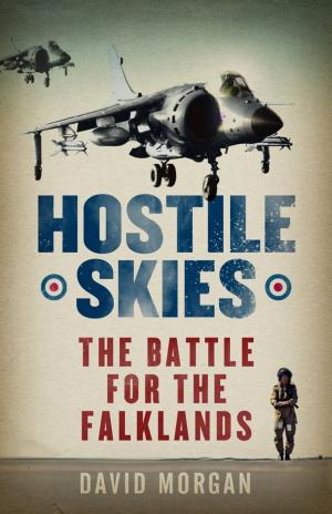 Cover of the book Hostile Skies by Lee Elliott, Denis Hughes