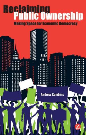 Cover of the book Reclaiming Public Ownership by Alex de Waal