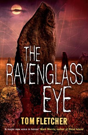 Cover of the book The Ravenglass Eye by Caz Nicklin