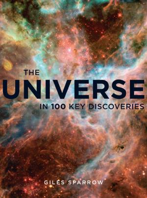 Cover of the book The Universe by Daniel Smith, Dan Smith