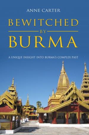 Cover of the book Bewitched by Burma by Valerie Barona