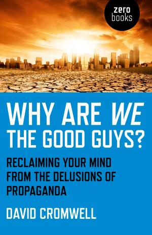 bigCover of the book Why Are We The Good Guys? by 