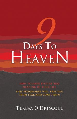 Cover of the book 9 Days to Heaven by Danusha V. Goska