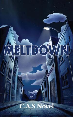 Cover of the book Meltdown by McCaffrey-Winner, Winner Twins, Todd McCaffrey, Brit Winner, Brianna Winner