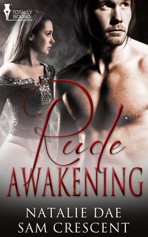 Book cover of Rude Awakening
