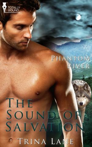 Cover of the book The Sound of Salvation by Devon Rhodes