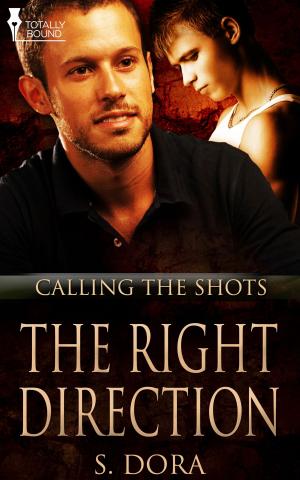 Cover of the book The Right Direction by Jaime Samms