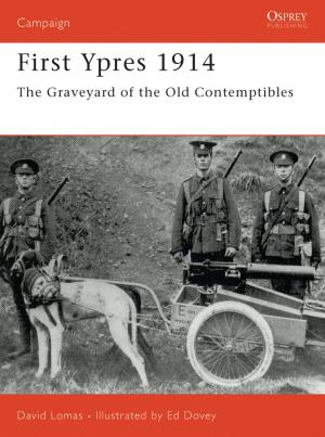bigCover of the book First Ypres 1914 by 