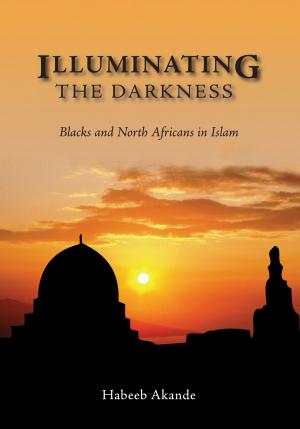 Cover of the book Illuminating the Darkness by Sulayman Al-Ruhayli