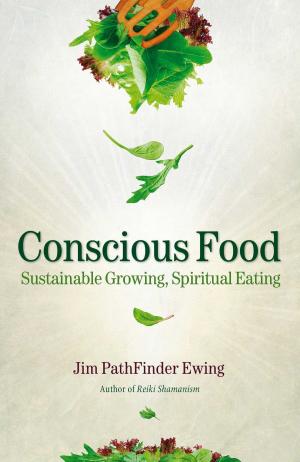 Cover of the book Conscious Food by Alberto Farah