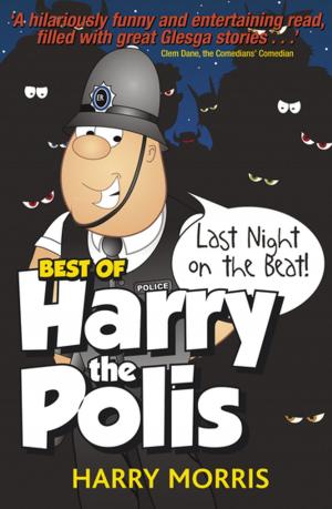 Book cover of The Last Night on the Beat