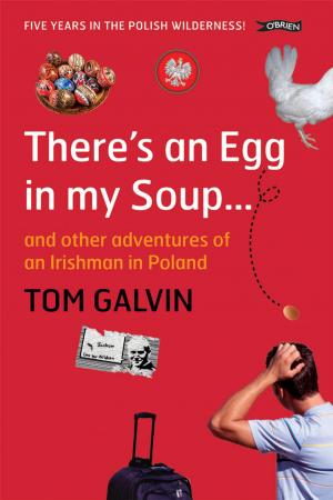 Cover of the book There's An Egg in my Soup by M.G. Edwards