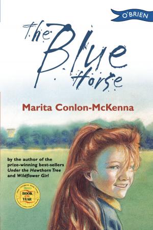 Cover of the book The Blue Horse by Judi Curtin