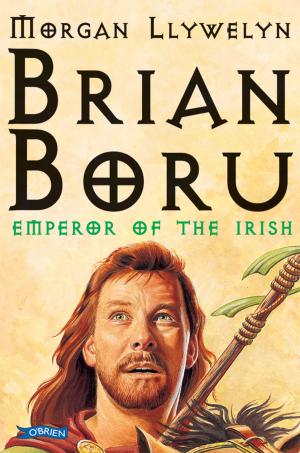 Cover of the book Brian Boru by Breandán Ó hEithir, Brendan O'Brien