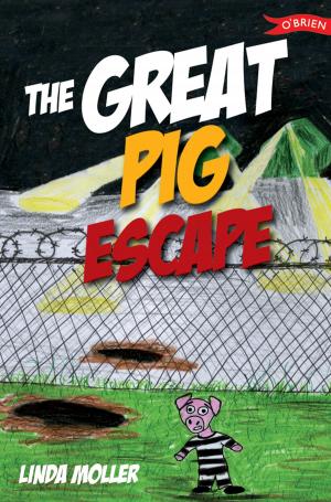 Cover of the book The Great Pig Escape by Michael Foley