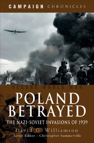 Cover of the book Poland Betrayed by Nigel Blundell