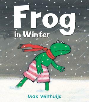 Cover of the book Frog in Winter by David McKee