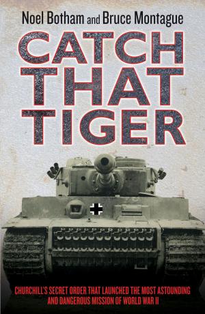 Cover of the book Catch That Tiger by Russ Coffey