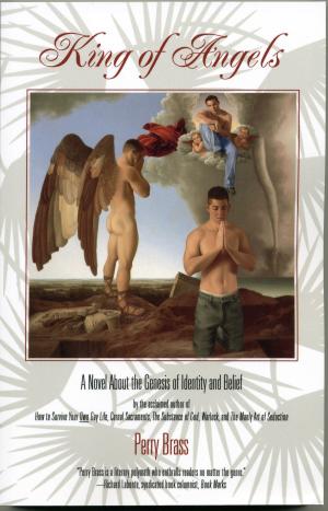 Cover of the book King of Angels, A Novel About the Genesis of Identity and Belief by Virginia McClain