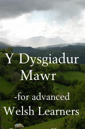 Book cover of Y Dysgiadur Mawr