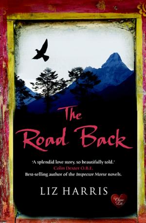 Cover of the book The Road Back by Christina Courtenay