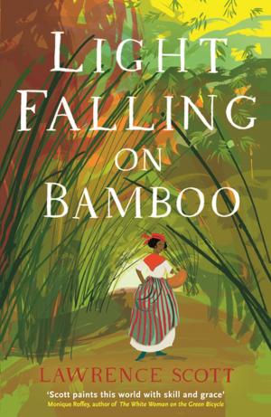 bigCover of the book Light Falling on Bamboo by 