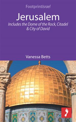 Cover of the book Jerusalem: Includes the Dome of the Rock, Citadel and City of David by Andy Symington