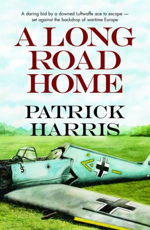 Cover of the book A Long Road Home by Terence Frisby