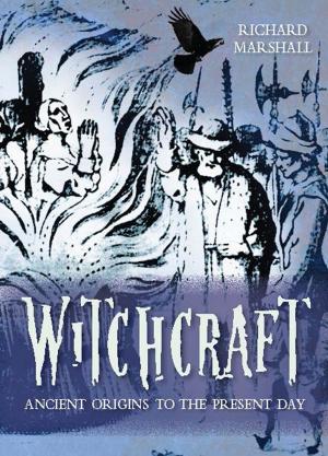 Book cover of Witchcraft: Ancient Origins to the Present Day
